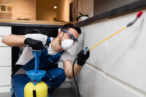 Best Pest Removal Services  in Castle Rock, WA